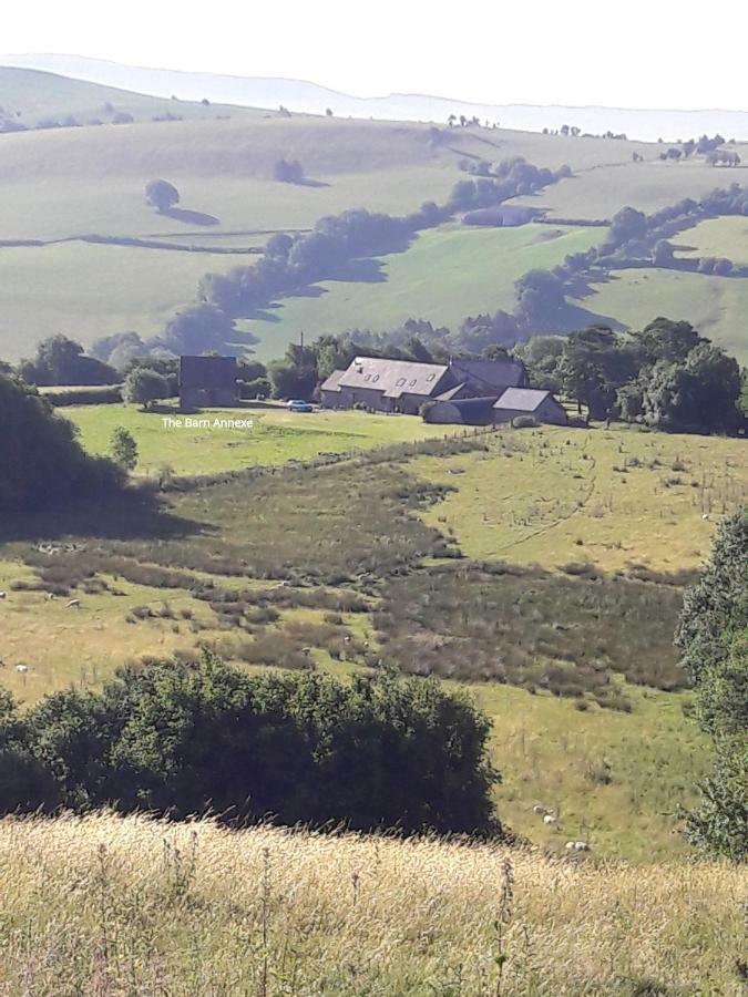 The Barn Annexe, Cefn-Yr-Allt Crickadarn 外观 照片