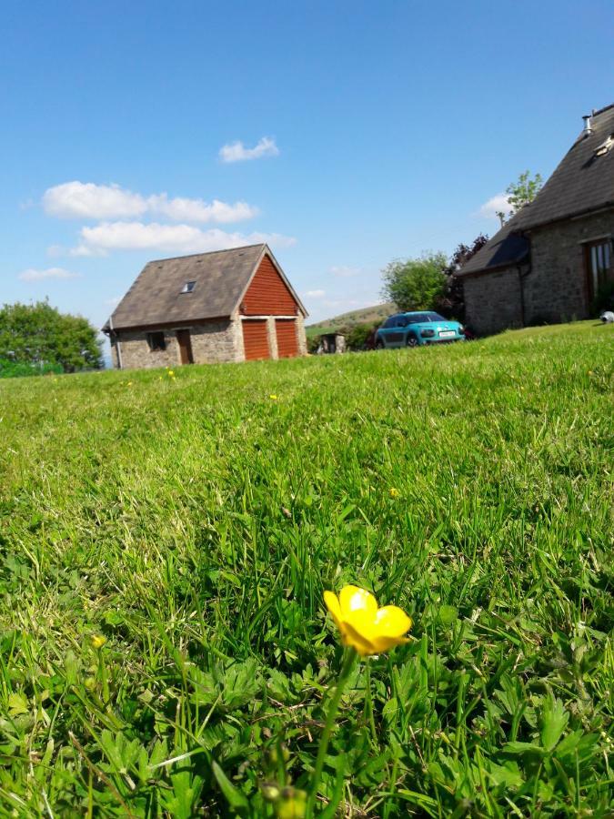 The Barn Annexe, Cefn-Yr-Allt Crickadarn 外观 照片